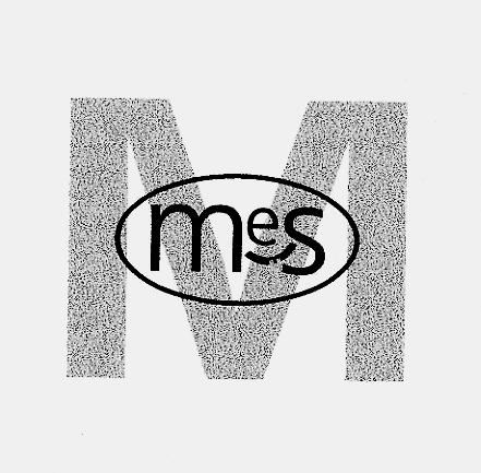 Prekės ženklas: mes M